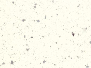 Πάγκοι Πραξιτέλης, 874